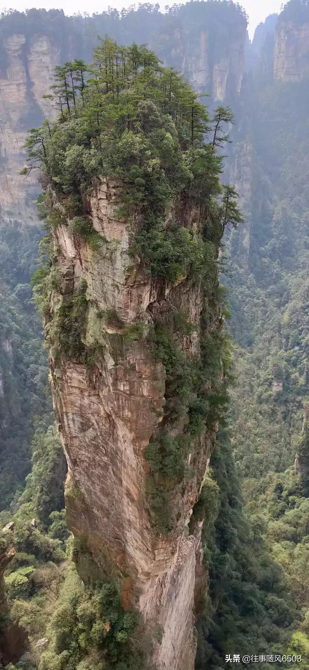 呼伦贝尔建设工程行业协会电话，呼伦贝尔建设工程行业协会电话是多少