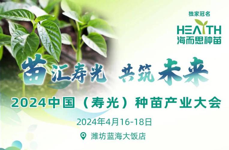 寿光网站联盟招聘信息，寿光网站联盟招聘信息最新