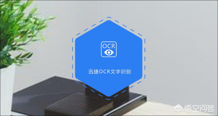 网站翻译app，网站翻译api