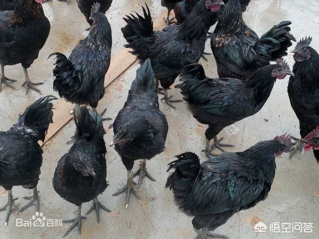 自己搭建网站卖东西违法吗，自己搭建网站卖东西违法吗怎么举报
