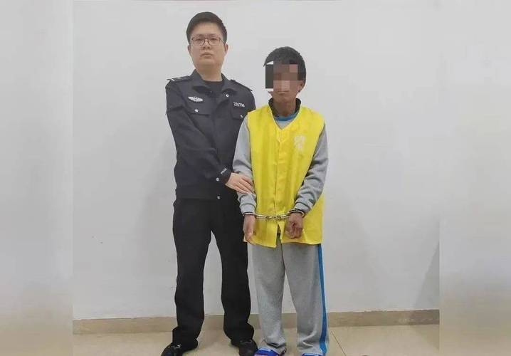 肇庆官方网，肇庆官方网站犯罪