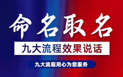 网站的名字，网站的名字叫什么