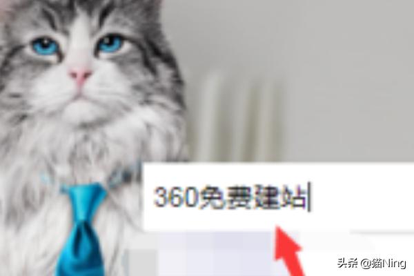 免费网站建站，免费网站建站页面