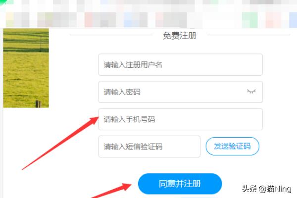 免费网站建站，免费网站建站页面