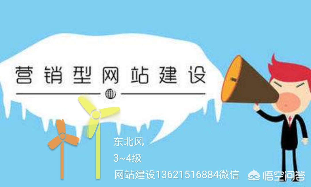 专业网站的建设，专业网站的建设方案