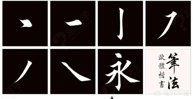 视频网站搭建软件，视频网站搭建软件有哪些