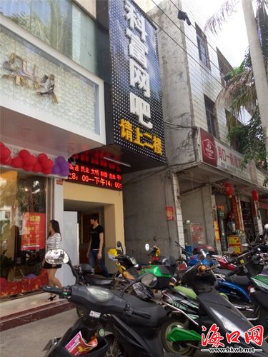 海口网站排名，海口网站优化排名
