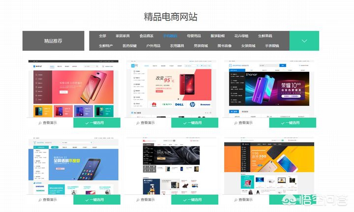 最大网站建设公司，最大网站建设公司排名