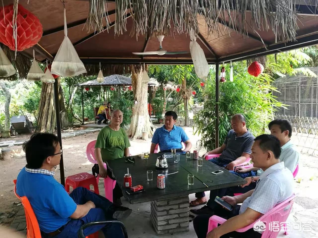 网站建设教程美食，网站建设 教程