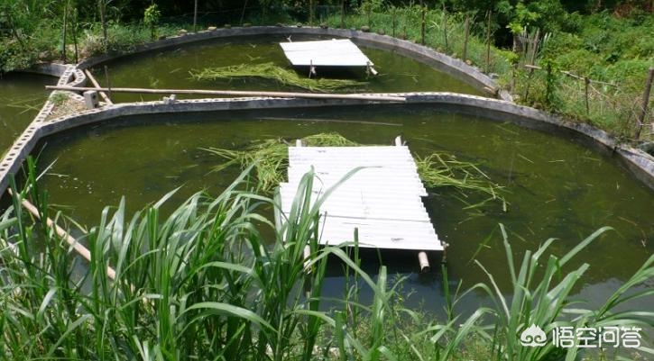 网站建设公司简介怎么写，网站建设公司简介怎么写好