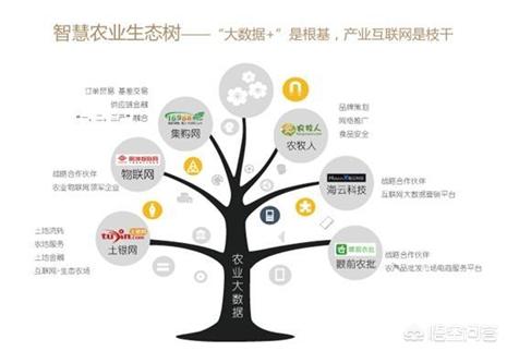 网站建设平台官网登录，网站建设平台官网登录入口