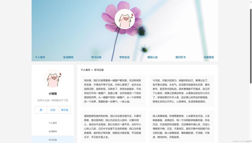 网页设计与网页制作课程总结，网页设计与网页制作课程总结报告