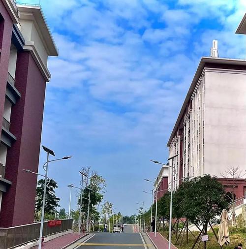 广东肇庆官网，广东肇庆航空职业学校官网