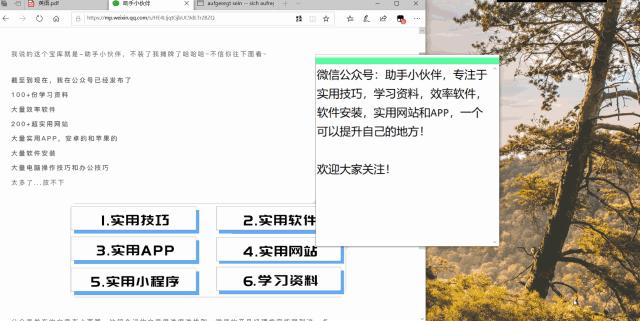 网站在线翻译软件，网站在线翻译软件免费