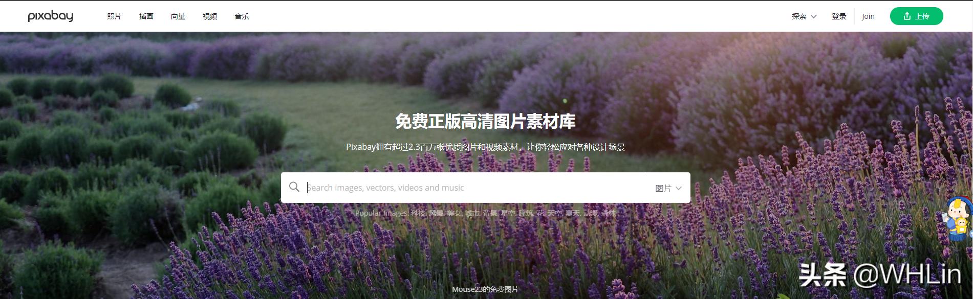 网站建设模板图片，网站建设模板图片大全