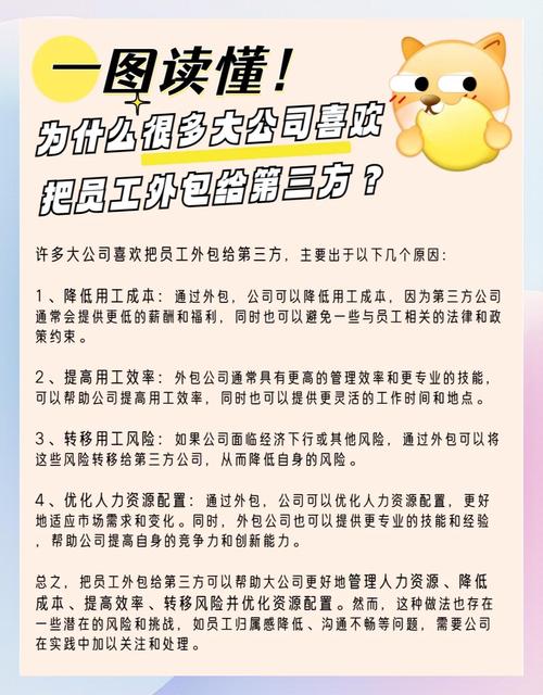 网站外包公司有哪些岗位，网站外包公司有哪些岗位职责