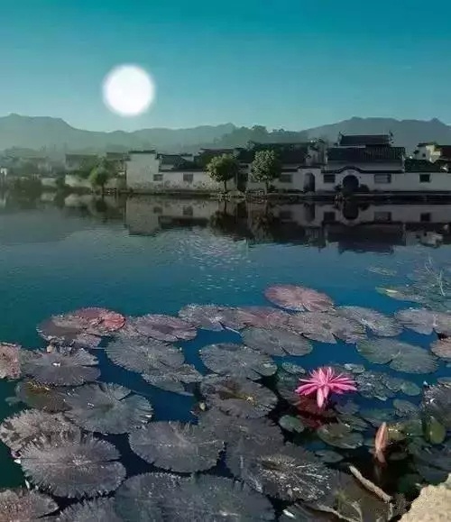 网站建设平台排名前十有哪些，网站建设平台排名前十有哪些