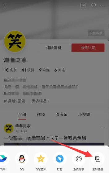 我的网站在哪里，我的网站在哪里打开