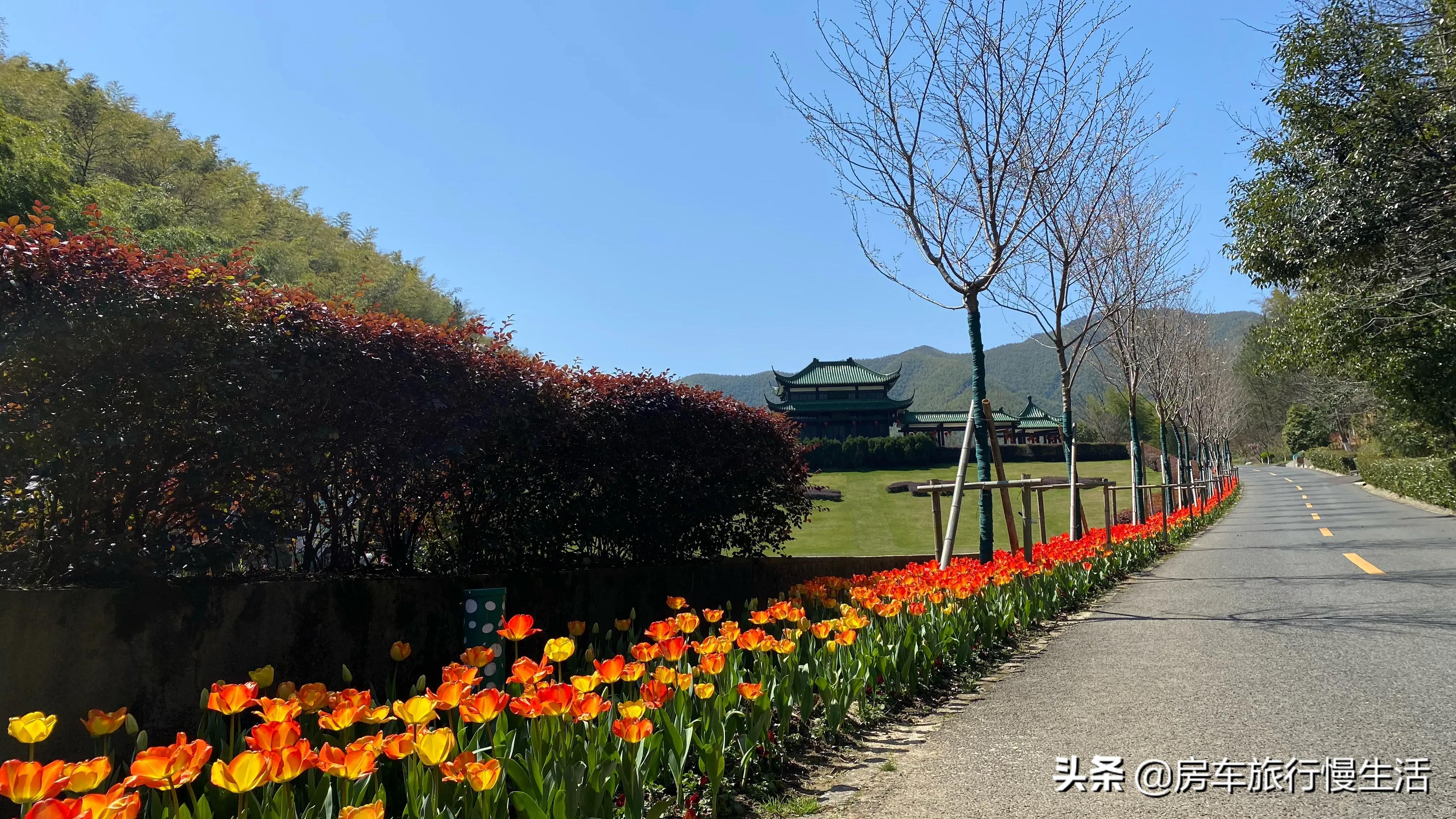 网站建设规划书范文3000字，网站建设规划书范文3000字怎么写