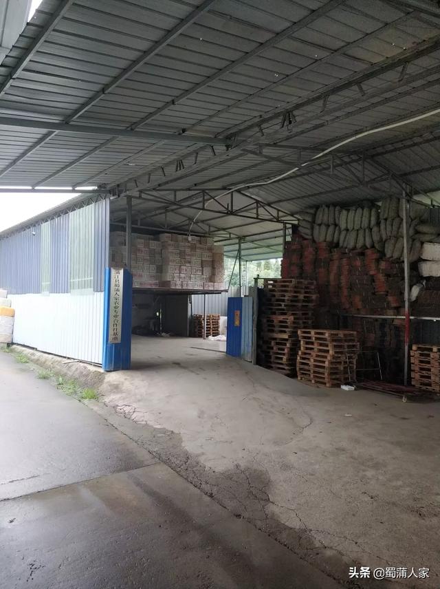 寿光市网红有谁，寿光有个大网红