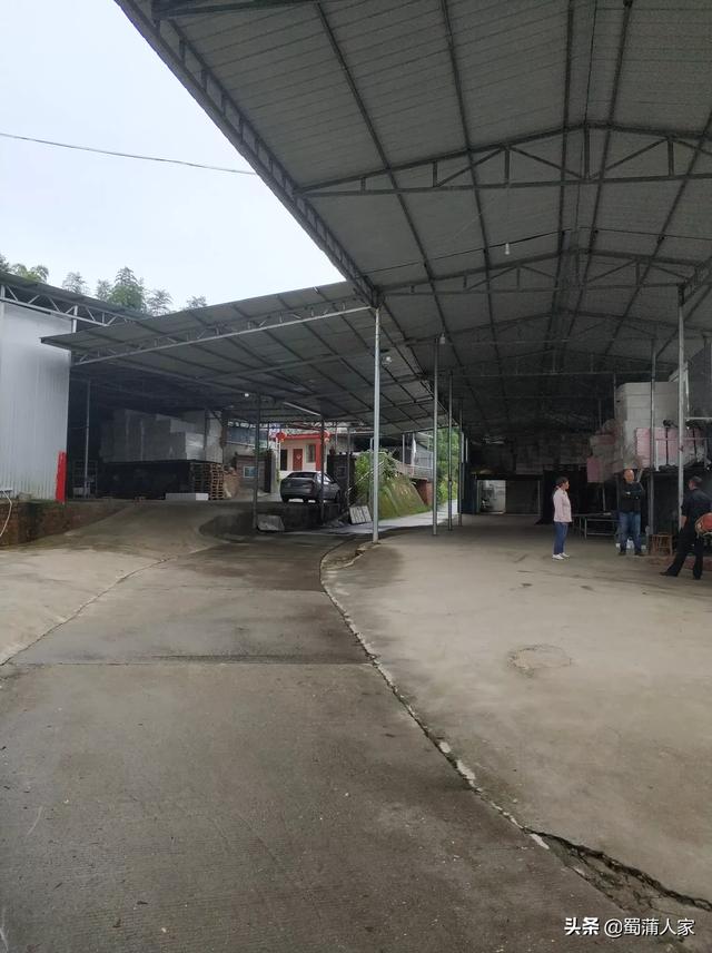 寿光市网红有谁，寿光有个大网红