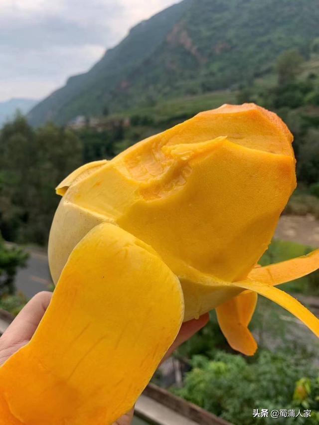 寿光市网红有谁，寿光有个大网红