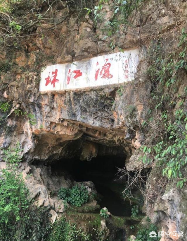 江油今天招聘江油论坛招聘，江油论坛最新招聘