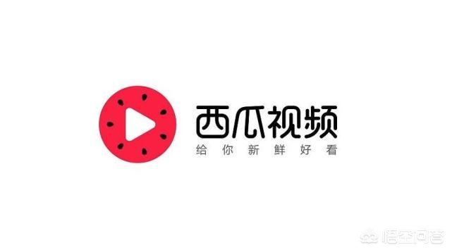 网站建设平台排名前十，网站建设平台排名前十有哪些
