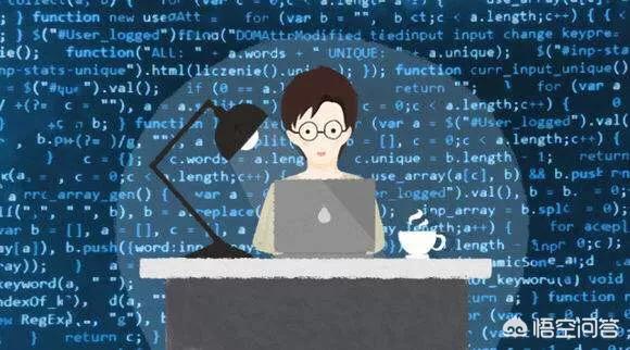 网页设计和程序开发有什么区别，网页设计和程序设计