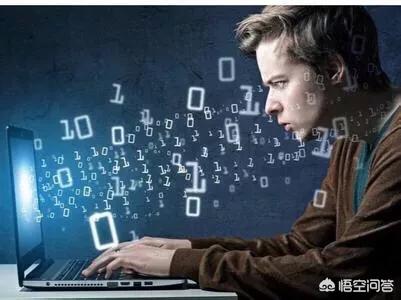 网页设计和程序开发有什么区别，网页设计和程序设计
