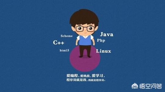 网页设计和程序开发有什么区别，网页设计和程序设计