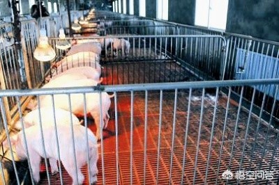 网页设计与制作的毕业论文，网页设计与制作的毕业论文怎么写
