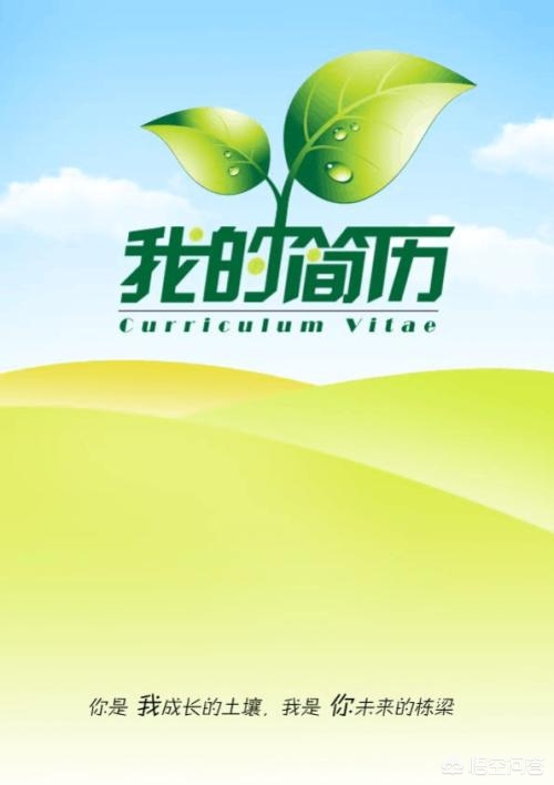 我的网站建设怎么写简历，我的网站建设怎么写简历模板