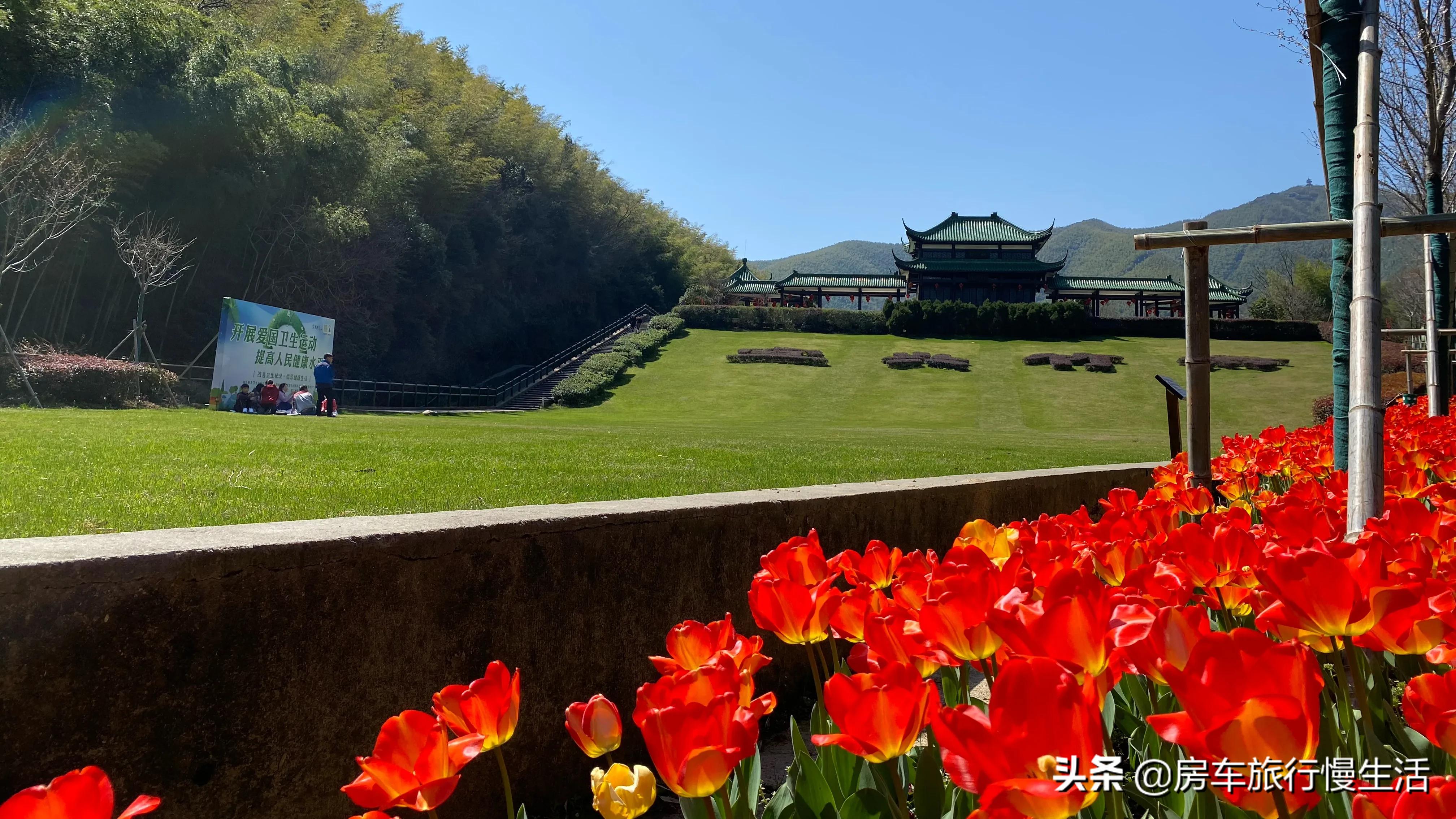 网站建设规划书案例，网站建设规划书案例分析