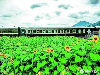 网站建设平台哪家好一点，网站建设平台哪家好一点呢