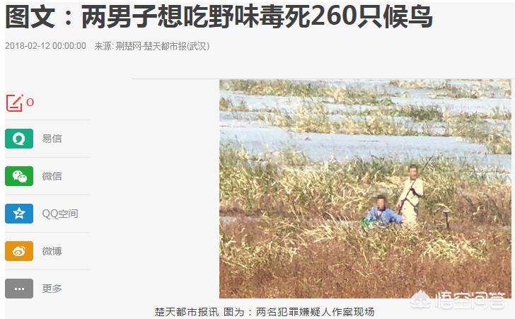 毒杀女模嫌犯自首，毒杀女模嫌犯自首视频