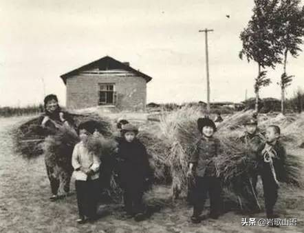 全家一起减肥瘦40斤，全家人一起减肥