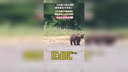 靠近熊自拍被袭致死，进制转换计算器app
