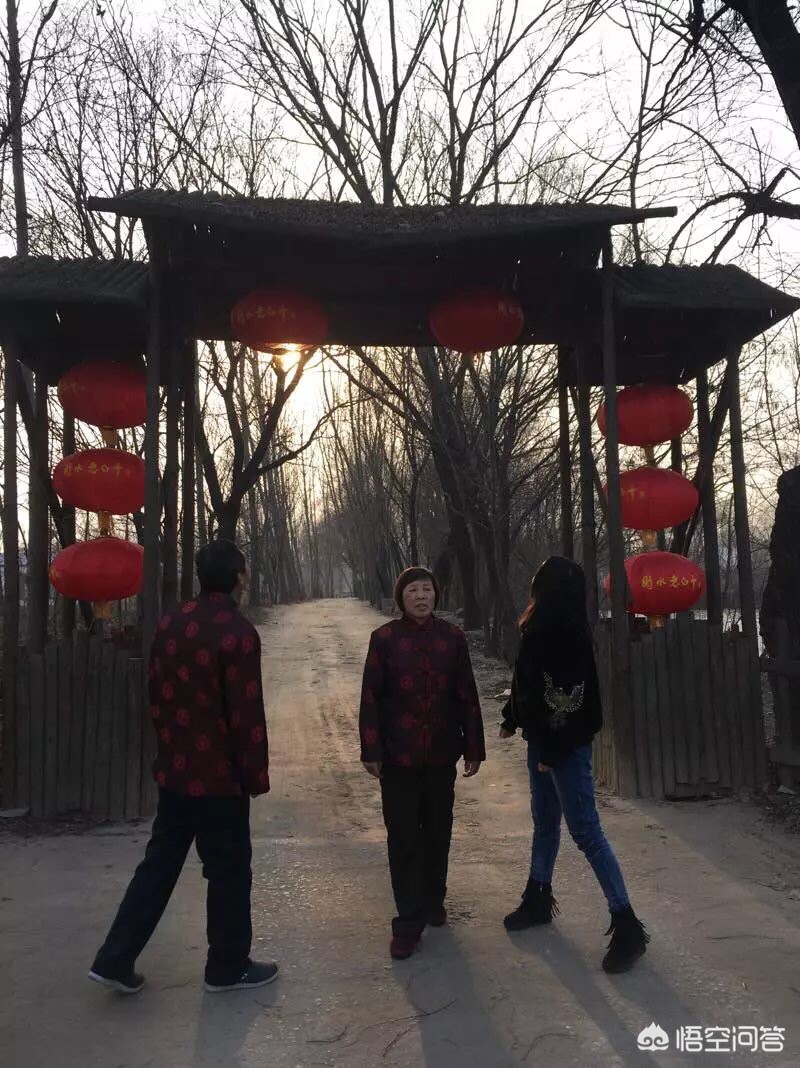 为了气妈妈不结婚，为了气妈妈不结婚怎么办
