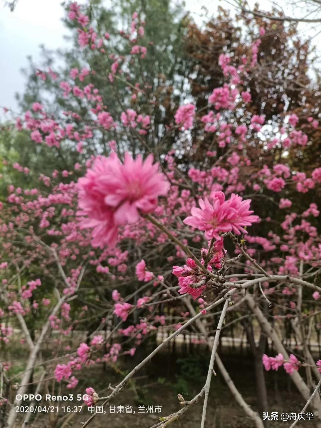 美国洪灾致82死，美国 洪灾