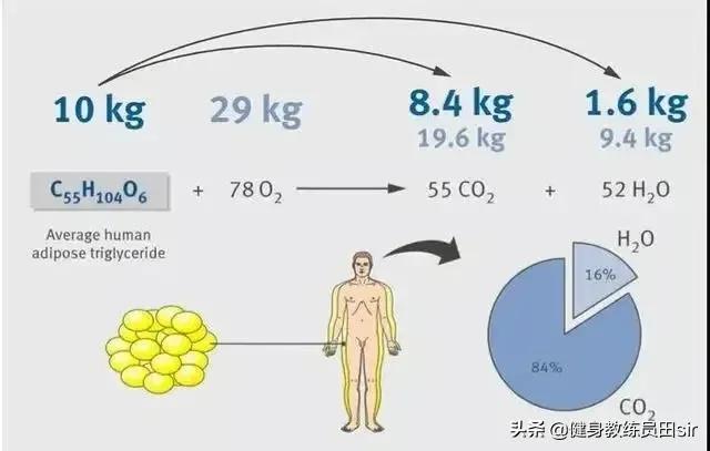 脂肪消失的6个信号，脂肪消失的6个信号有哪些