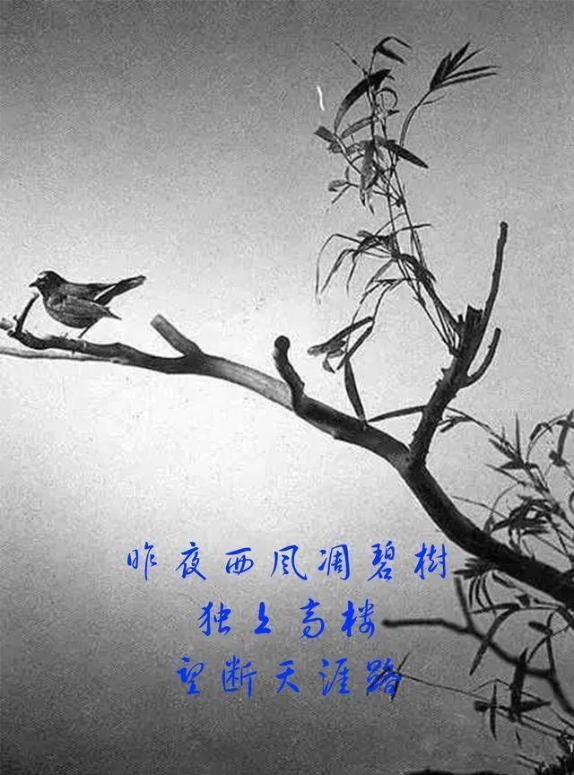 因妻抱怨生闷气患癌，因妻抱怨生闷气患癌怎么办