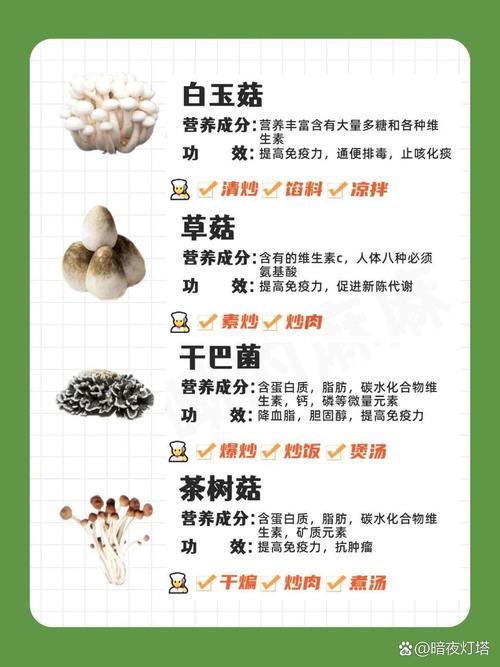 菌中之王每公斤18，菌中之王是