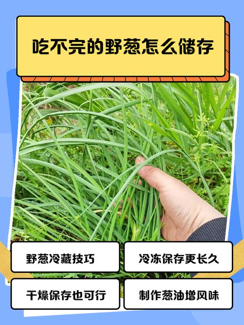 误拔别人2万多斤葱，误拔别人2万多斤葱怎么办