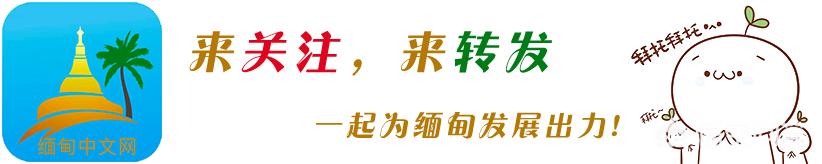 一地登革热疫情上升，一地登革热疫情上升了吗