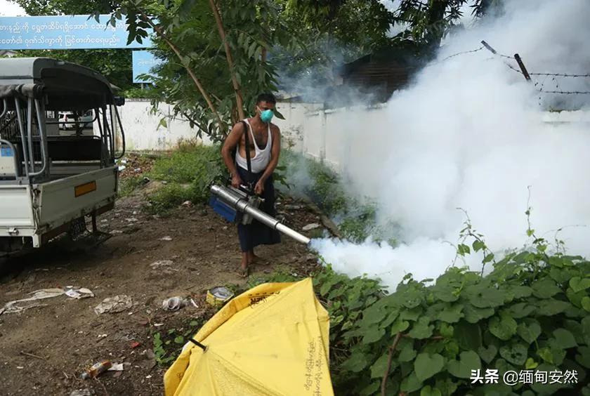 一地登革热疫情上升，一地登革热疫情上升了吗