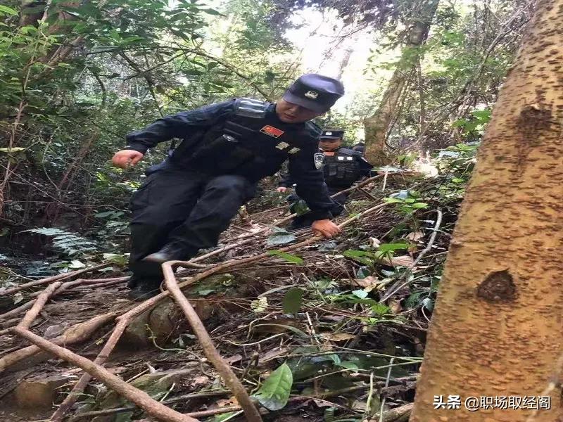 取390万柜员报警，柜台取30万