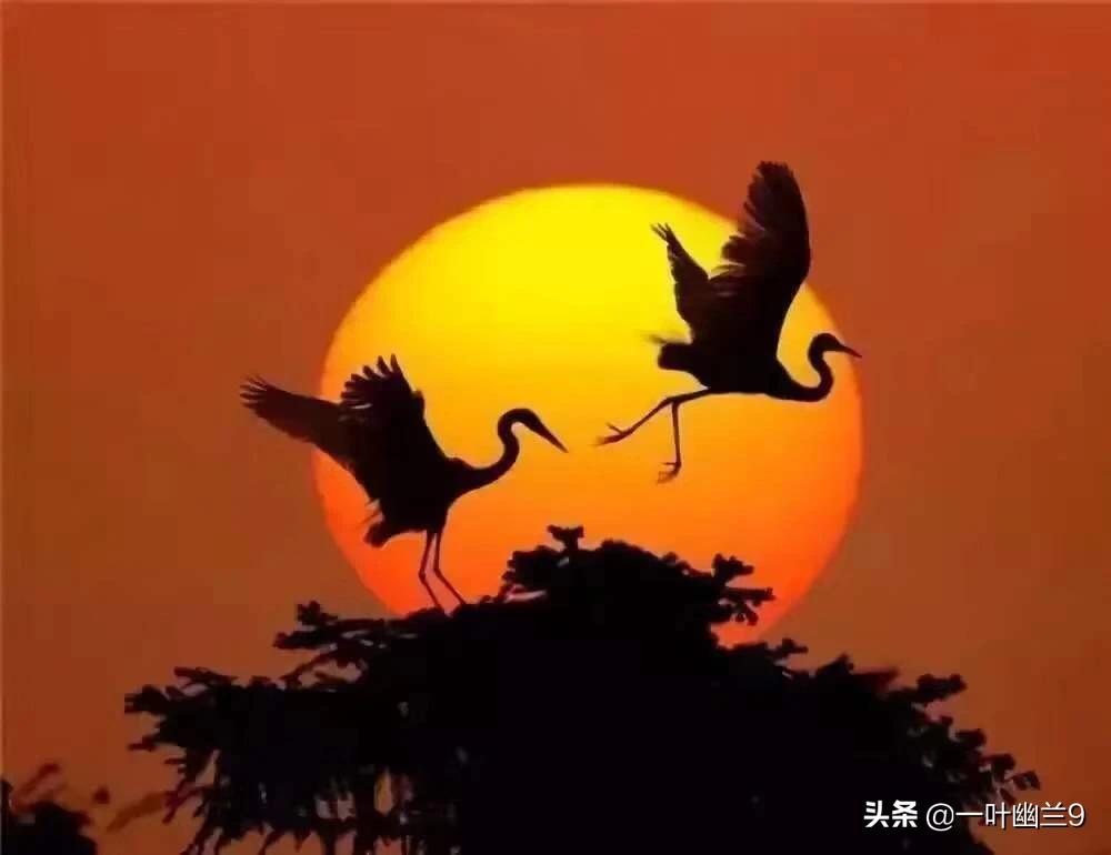 腰疼的人越来越多，为什么腰疼的人越来越多
