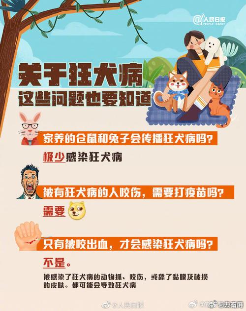 乘电梯被狗扑咬出血，电梯里狗咬人