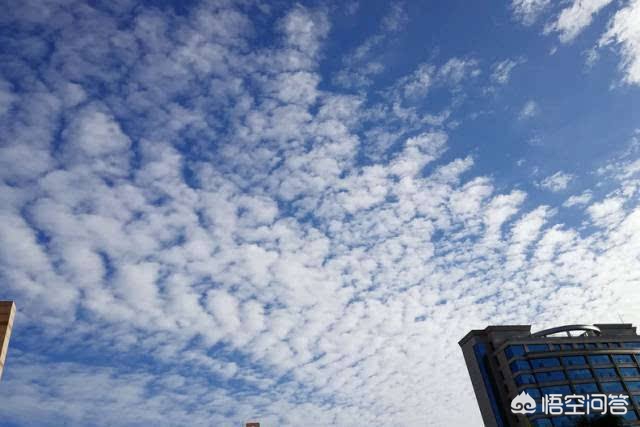 日本大分县4.8级地震，日本大分县4.8级地震是哪一年